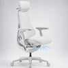 Ergonomic Cooling Office Chair
